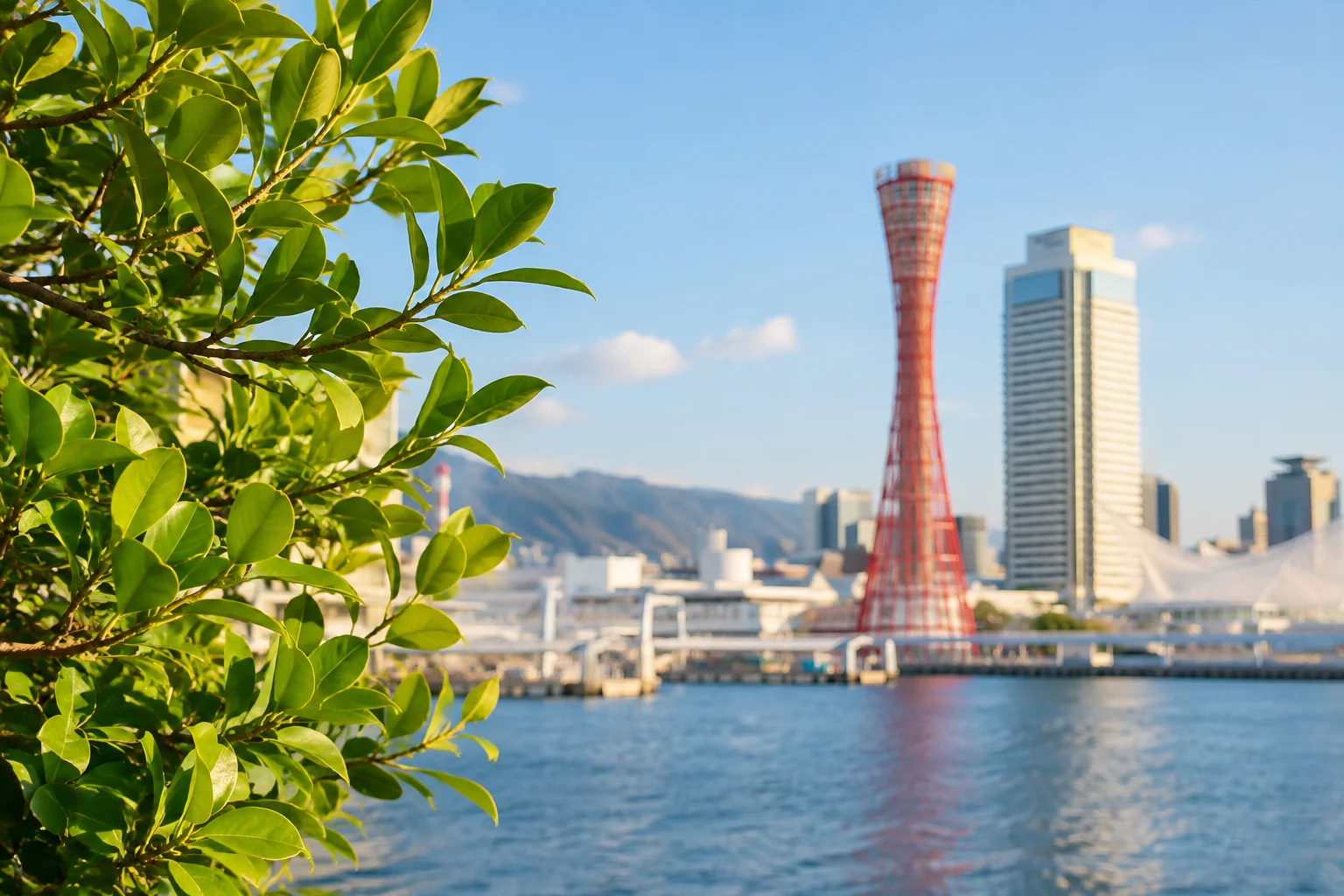 地域の風景